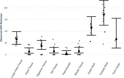 Pearl Oyster Bacterial Community Structure Is Governed by Location and Tissue-Type, but Vibrio Species Are Shared Among Oyster Tissues